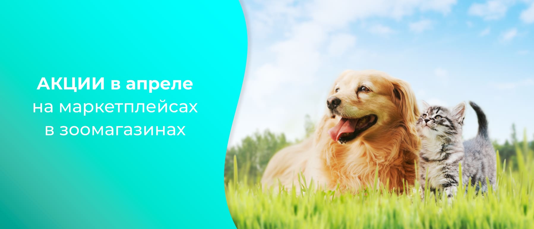 akcii produkciya veda