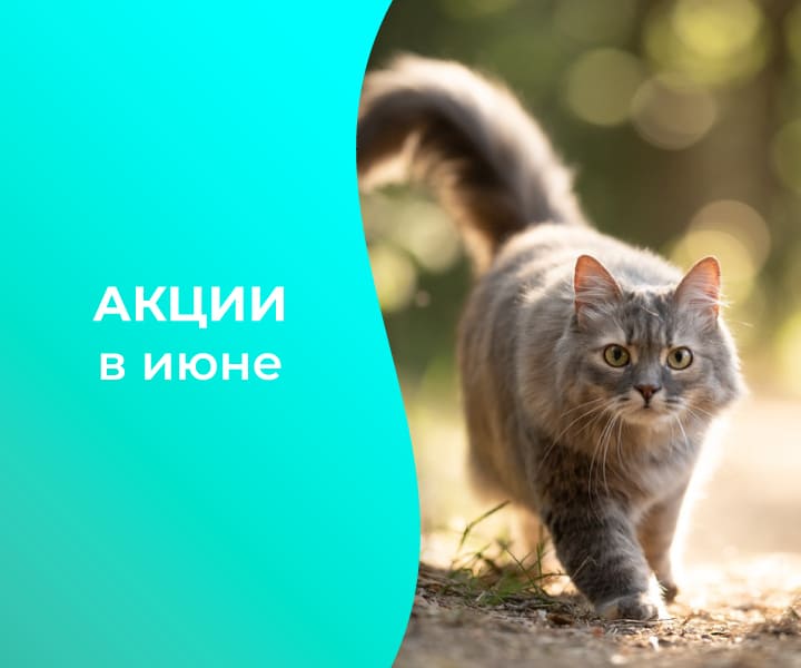 akcii