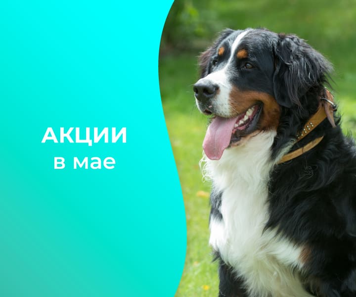 akcii