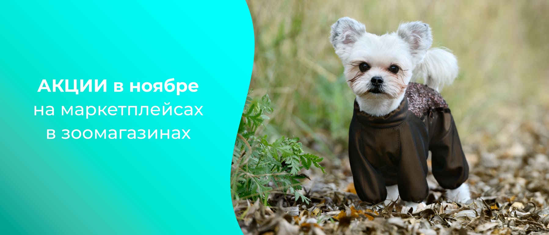 akcii produkciya veda