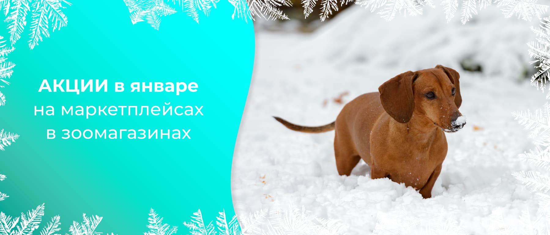 akcii produkciya veda