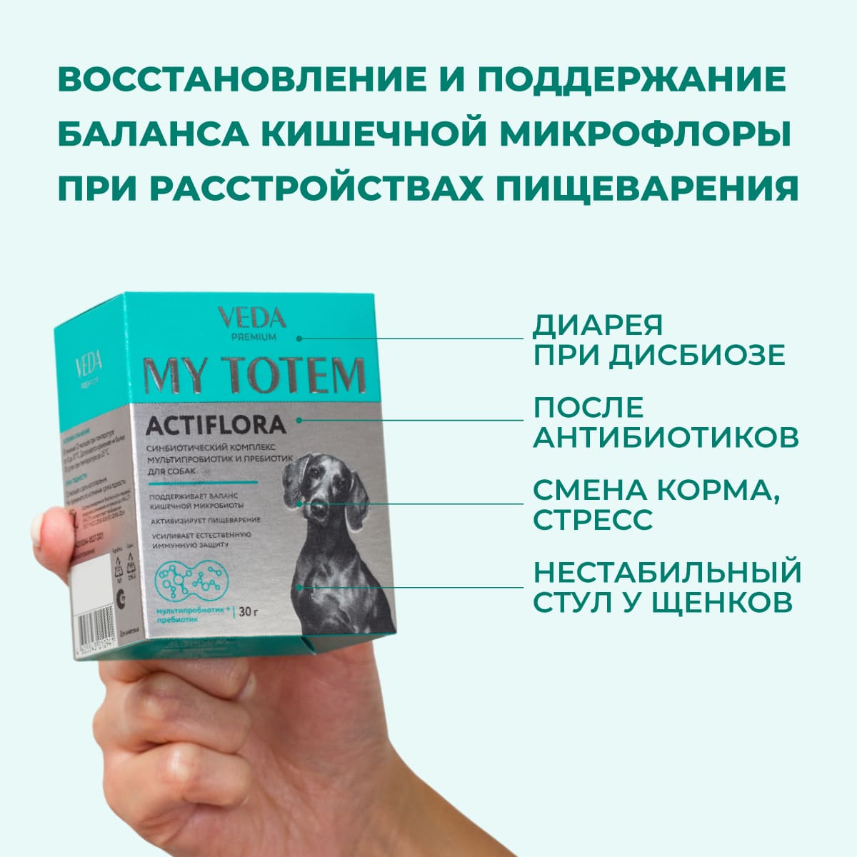 actiflora-pishchevarenie-sobaka-04