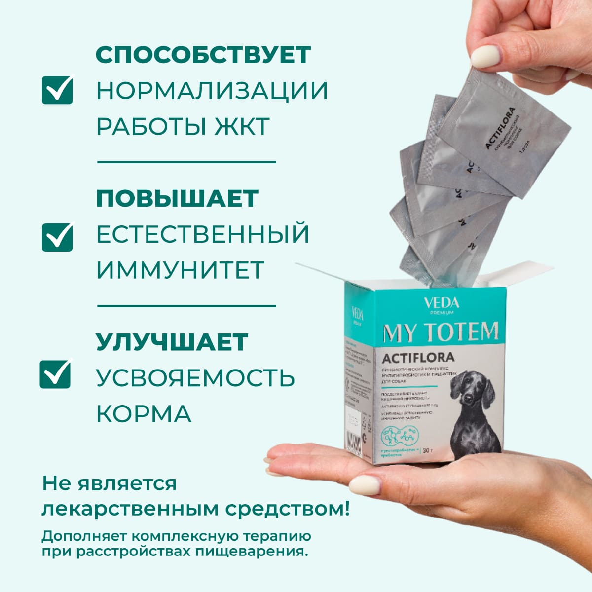 actiflora-pishchevarenie-sobaka-05