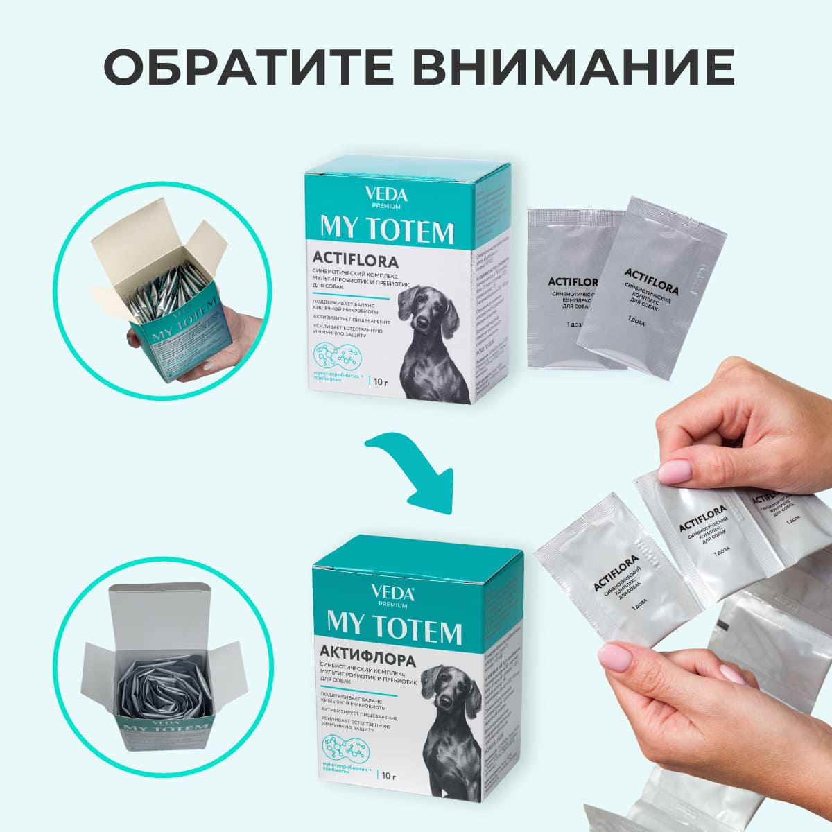actiflora-pishchevarenie-sobaka-10-002
