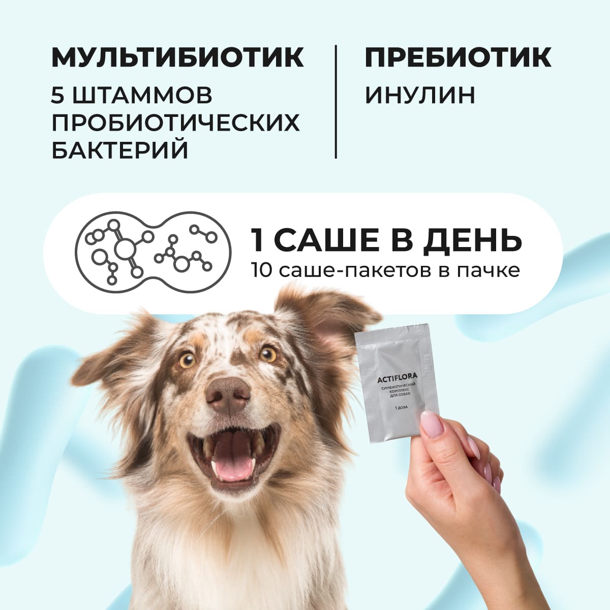 actiflora-pishchevarenie-sobaka-10-003