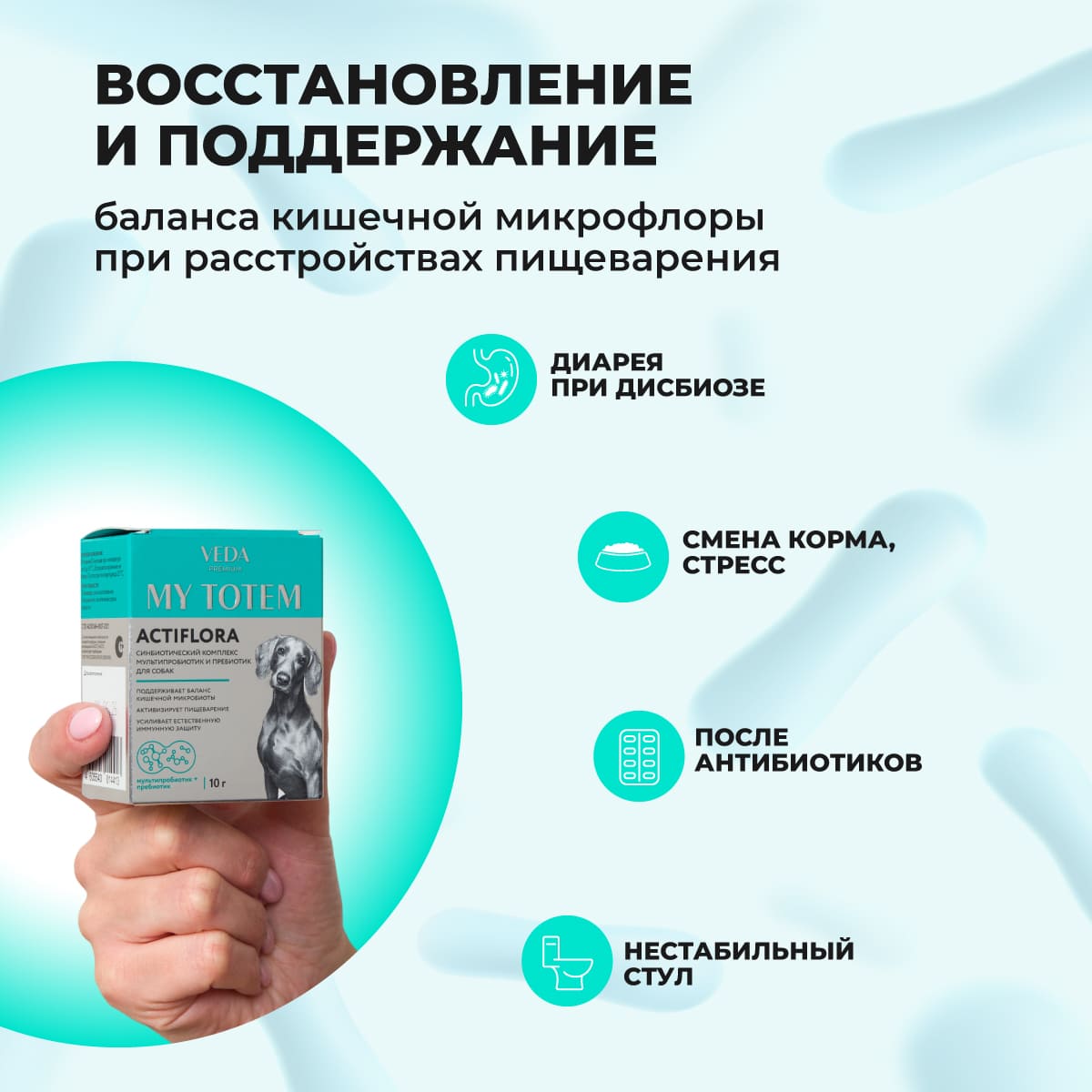 actiflora-pishchevarenie-sobaka-10-004