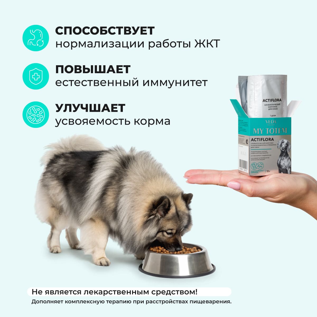 actiflora-pishchevarenie-sobaka-10-005