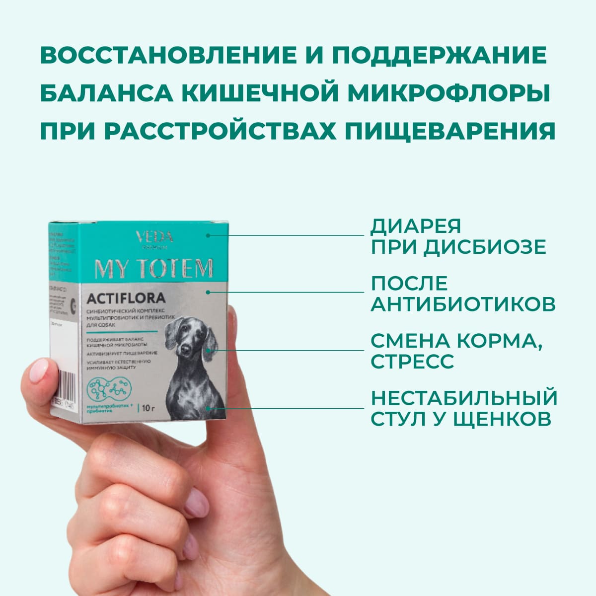 actiflora-pishchevarenie-sobaka-10-02