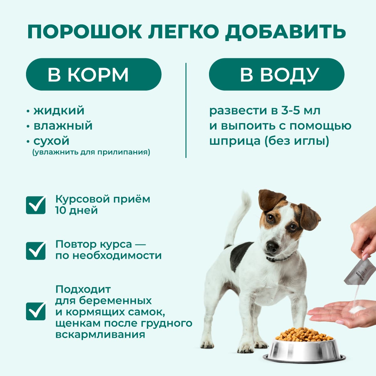 actiflora-pishchevarenie-sobaka-10-05