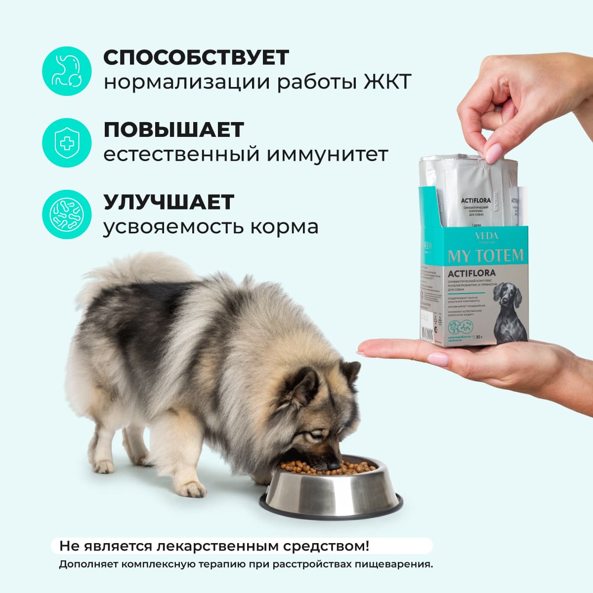 actiflora-pishchevarenie-sobaka-30-005