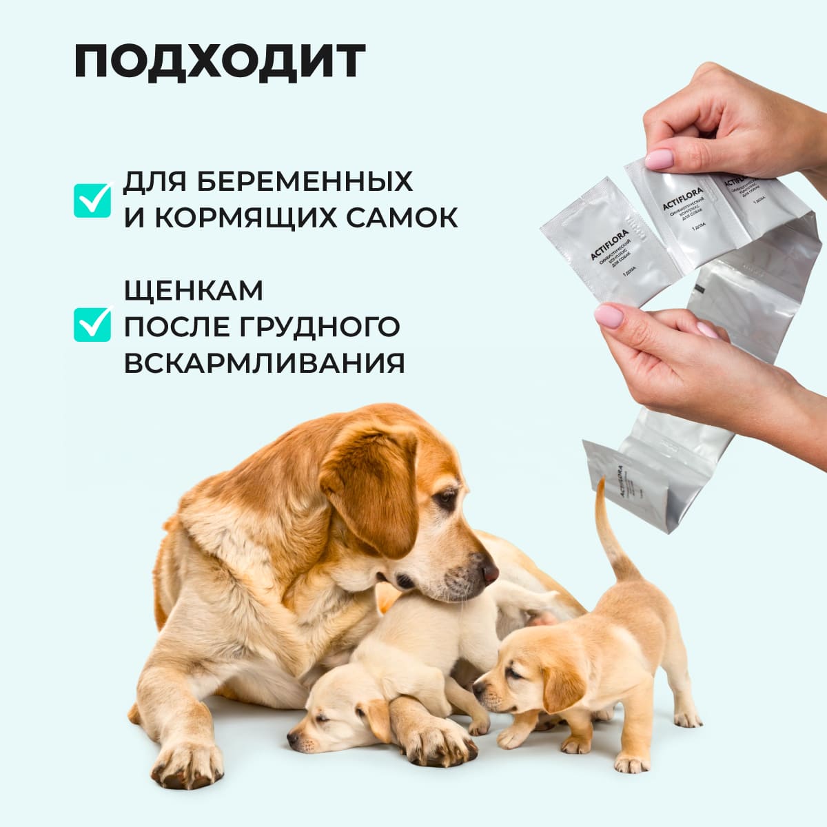 actiflora-pishchevarenie-sobaka-30-008