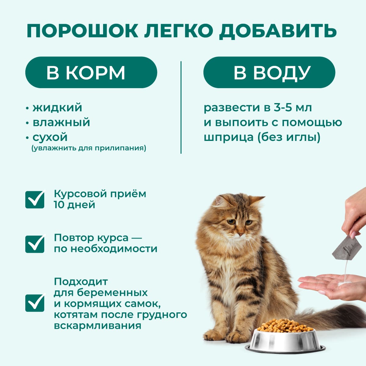 actiflora-probiotik-prebiotik-sinbiotik-pishchevarenie-koshka-07