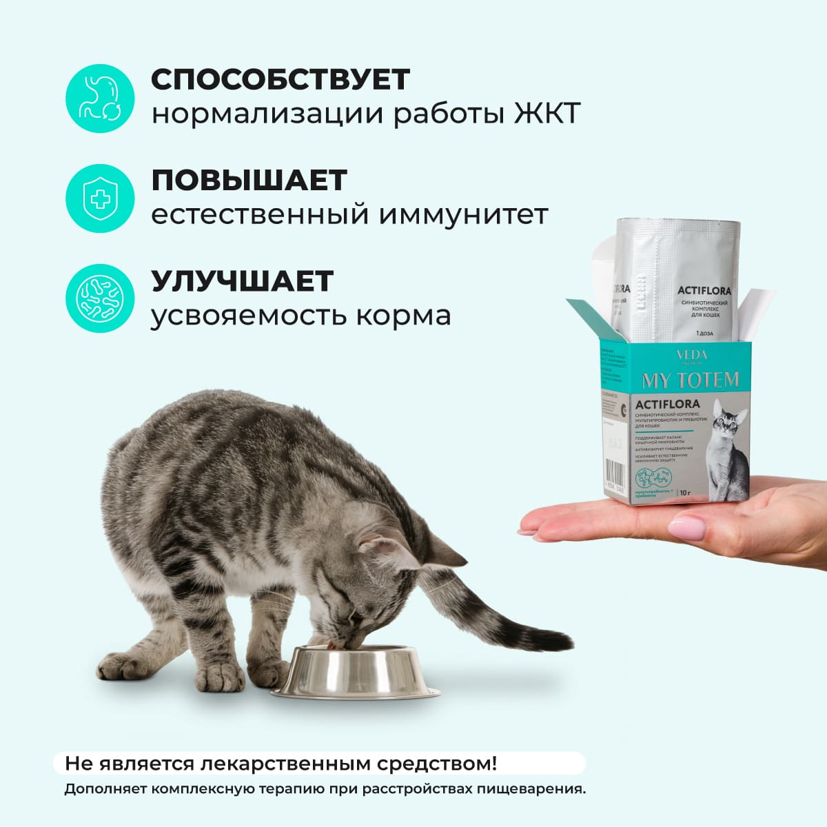 actiflora-probiotik-prebiotik-sinbiotik-pishchevarenie-koshka-10-005