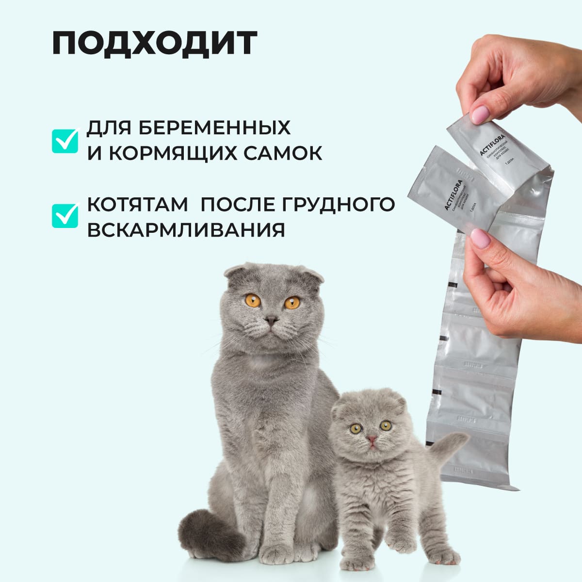 actiflora-probiotik-prebiotik-sinbiotik-pishchevarenie-koshka-30-008
