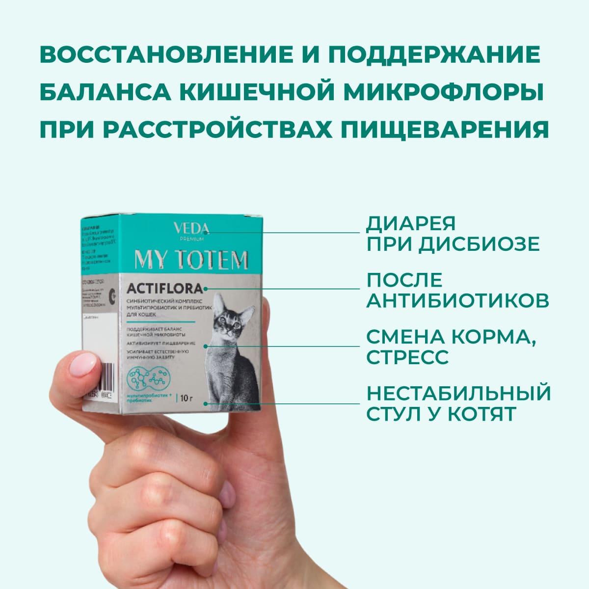 actiflora-sinbiotik-koshka-02