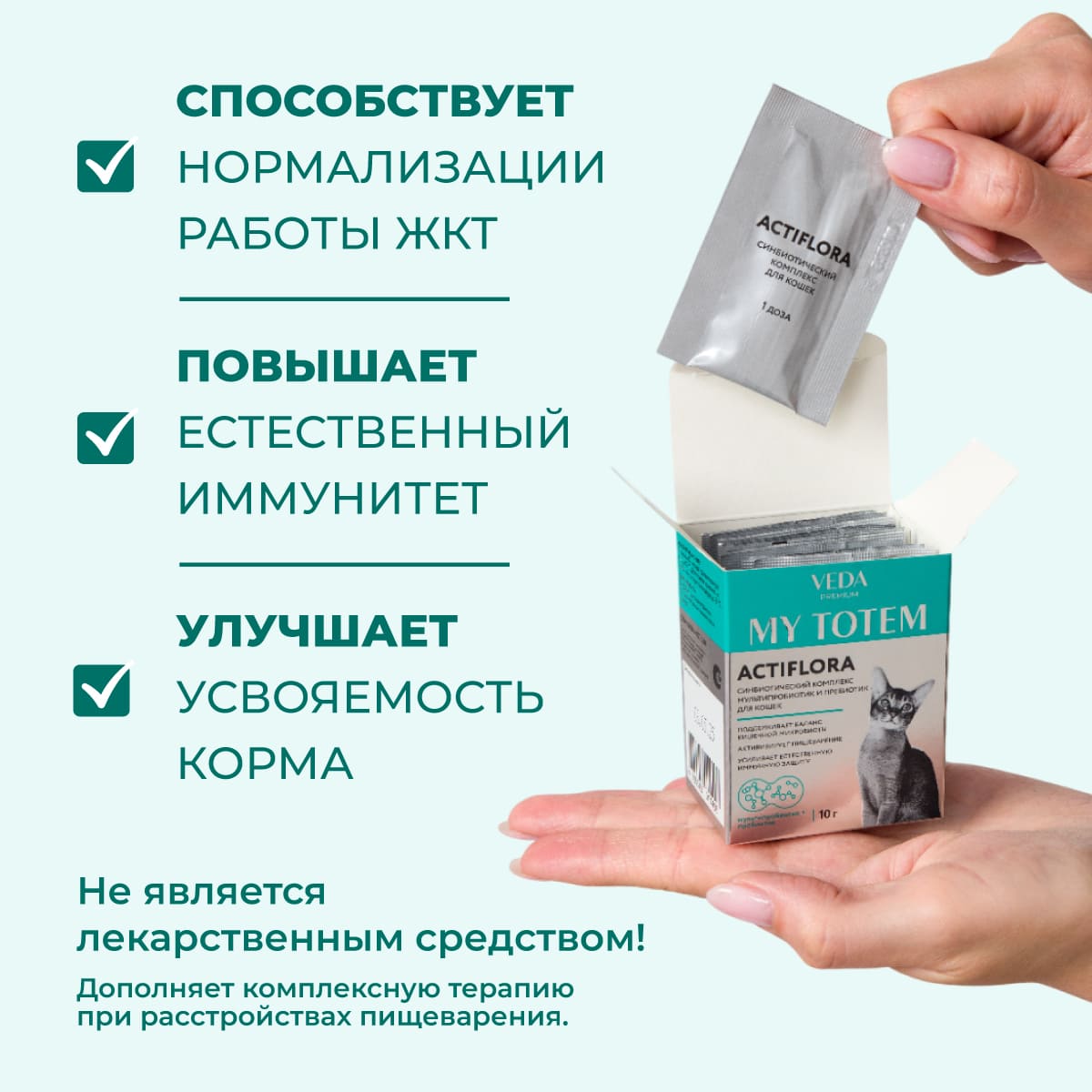 actiflora-sinbiotik-koshka-03