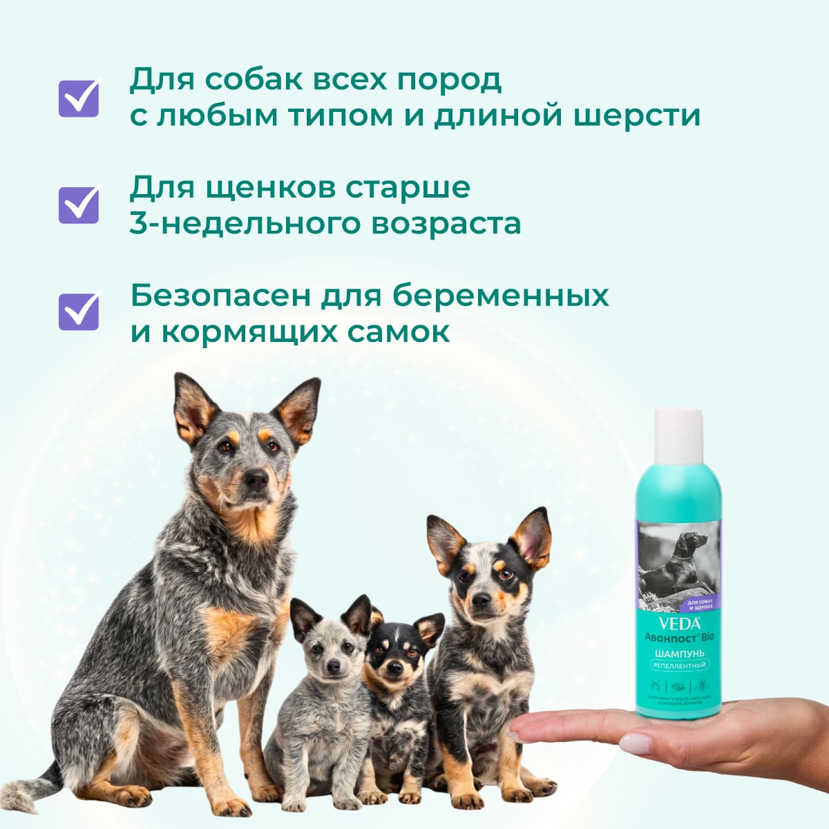 avanpostbio-shampoo-repellentnyj-dlia-sobak-012