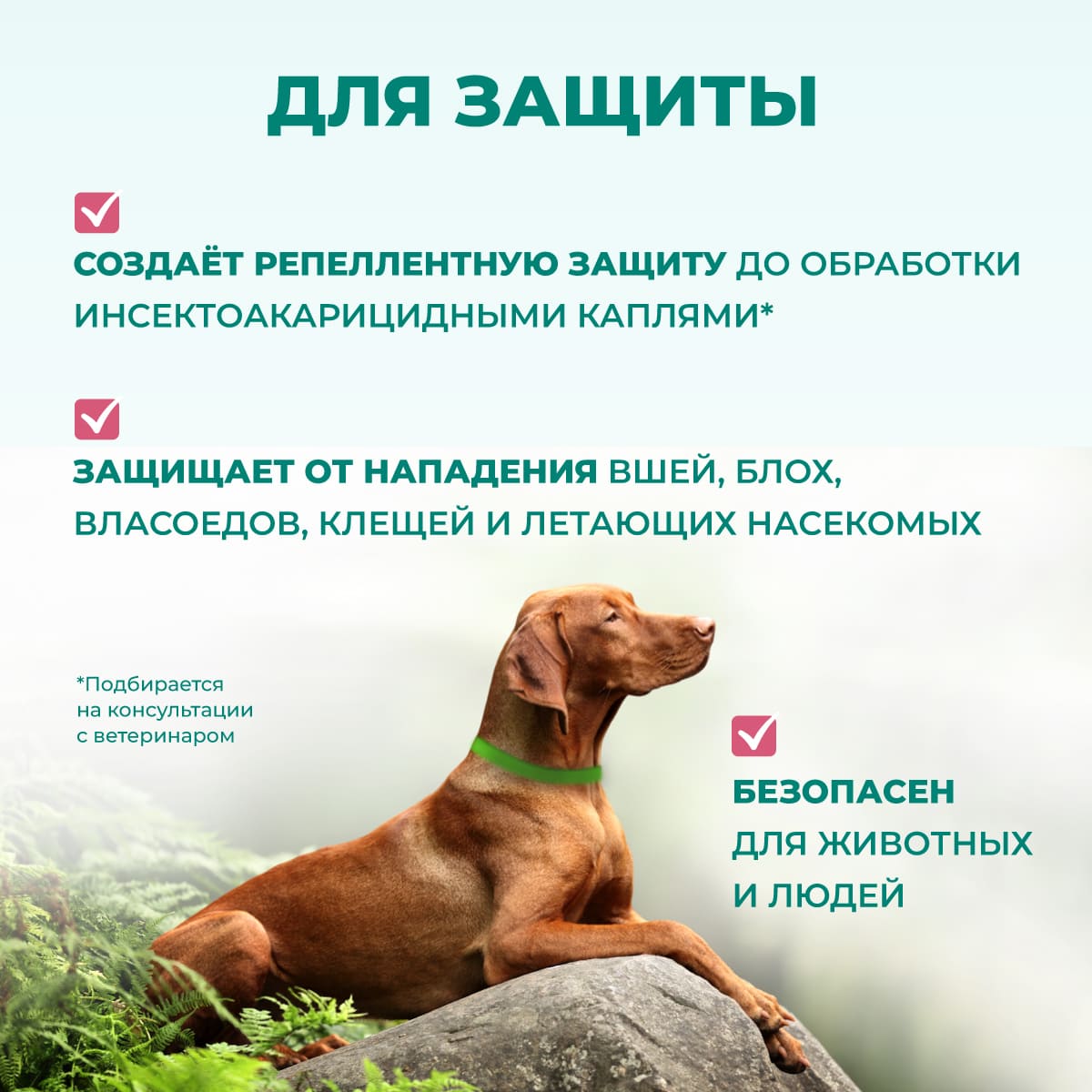 avanpostbio-shampoo-repellentnyj-dlia-sobak-013