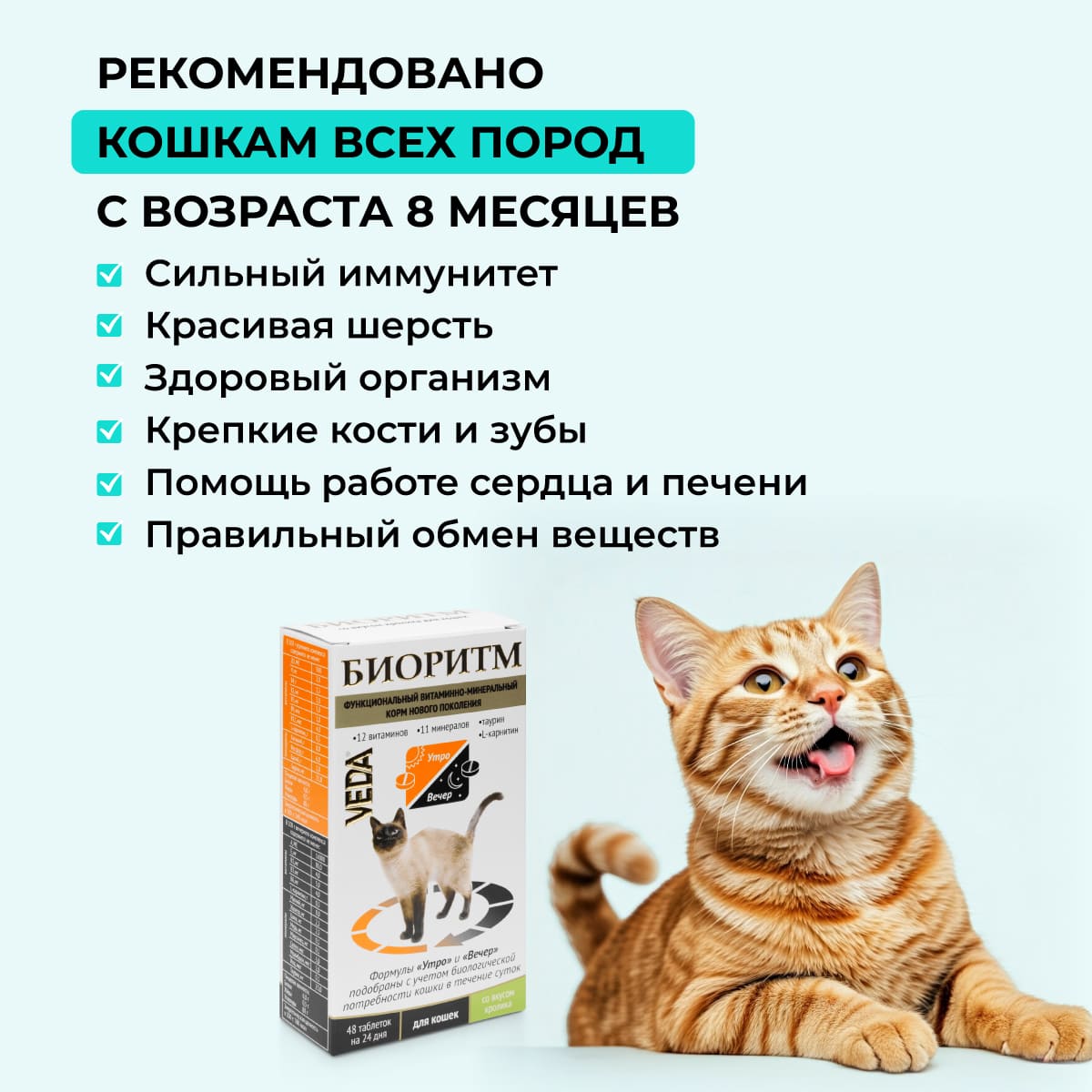bioritm-dlya-koshek-krolik-001