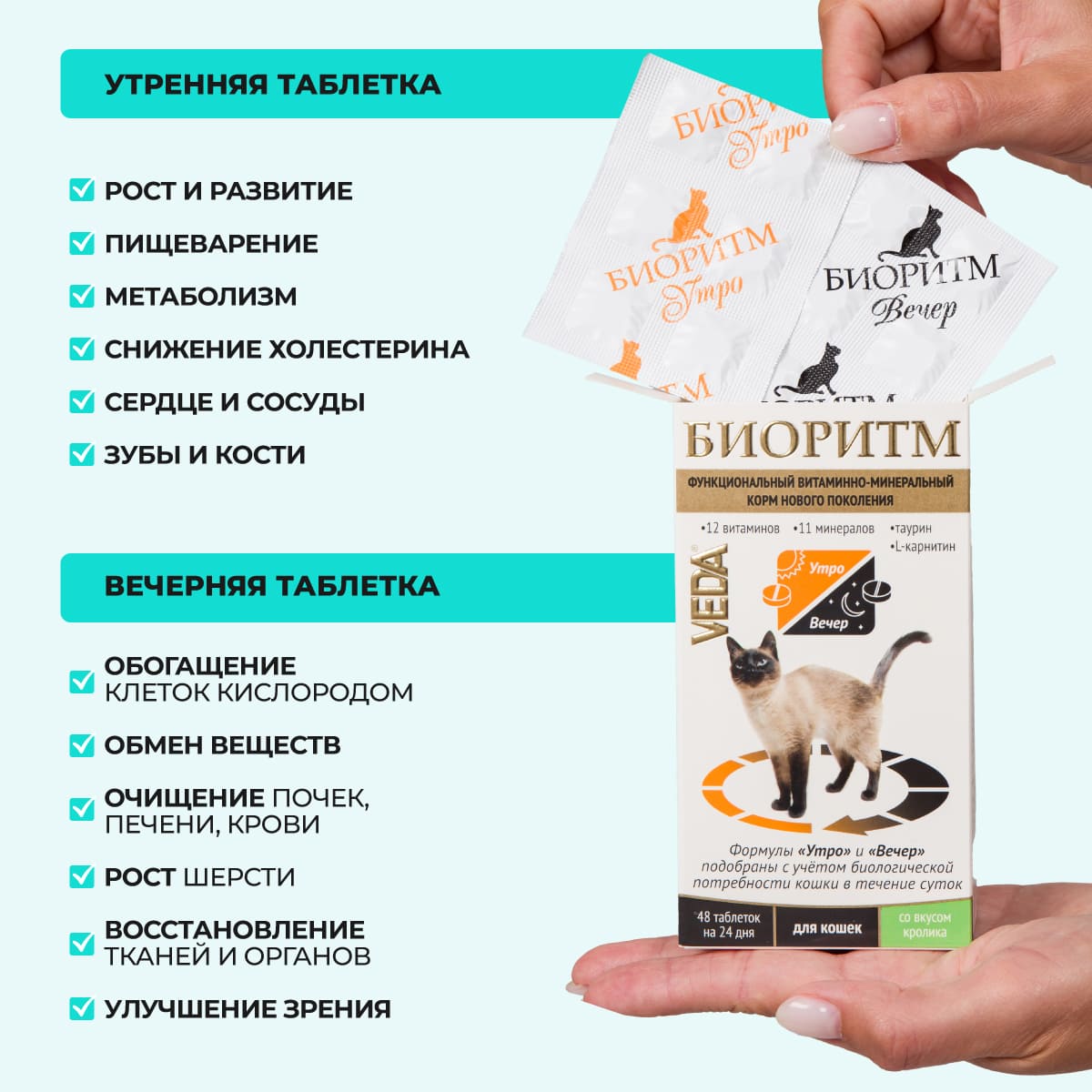 bioritm-dlya-koshek-krolik-003
