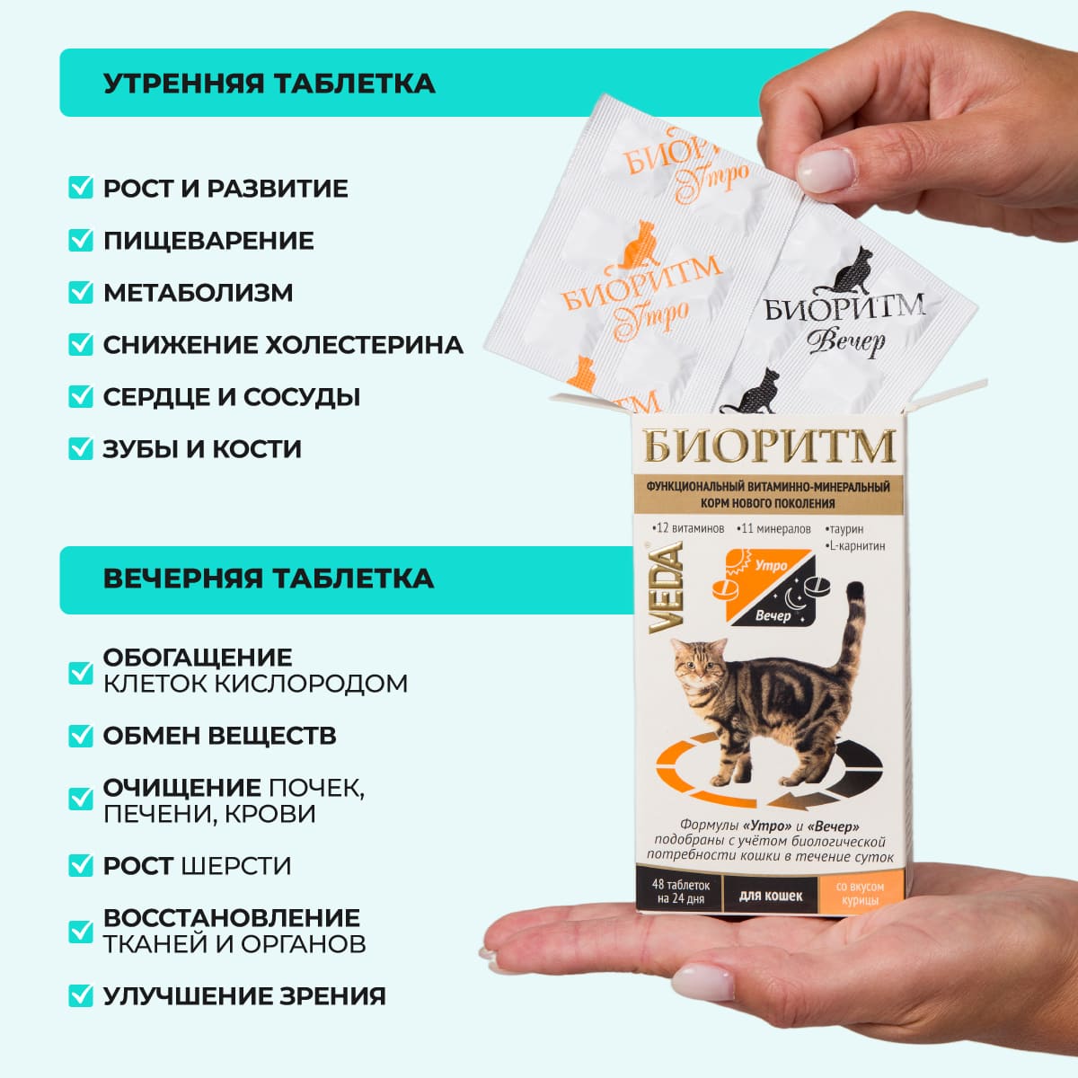 bioritm-dlya-koshek-kurica-003