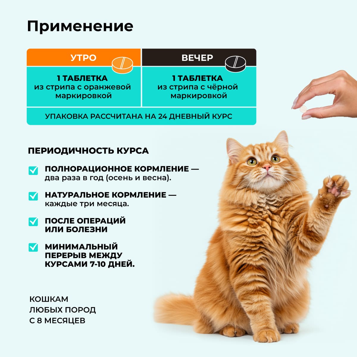bioritm-dlya-koshek-kurica-005