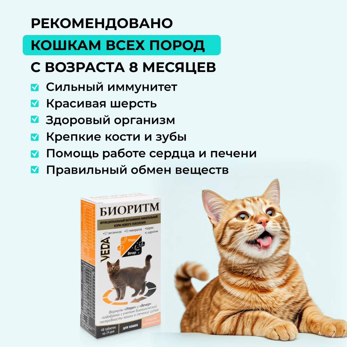 bioritm-dlya-koshek-moreprodukty-001