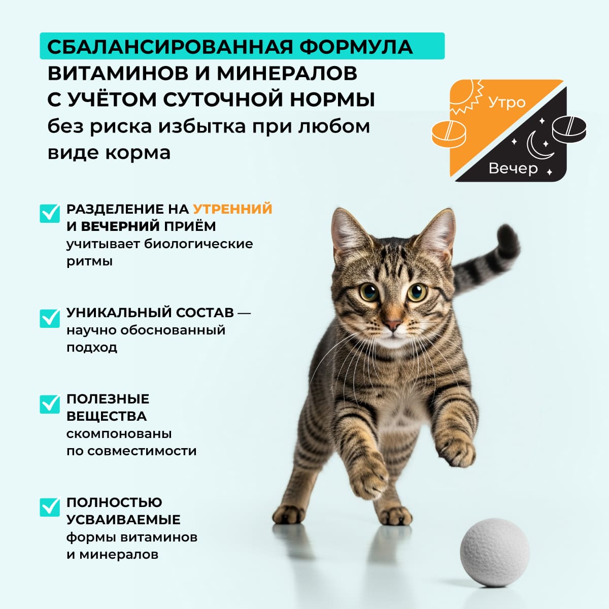 bioritm-dlya-koshek-moreprodukty-002