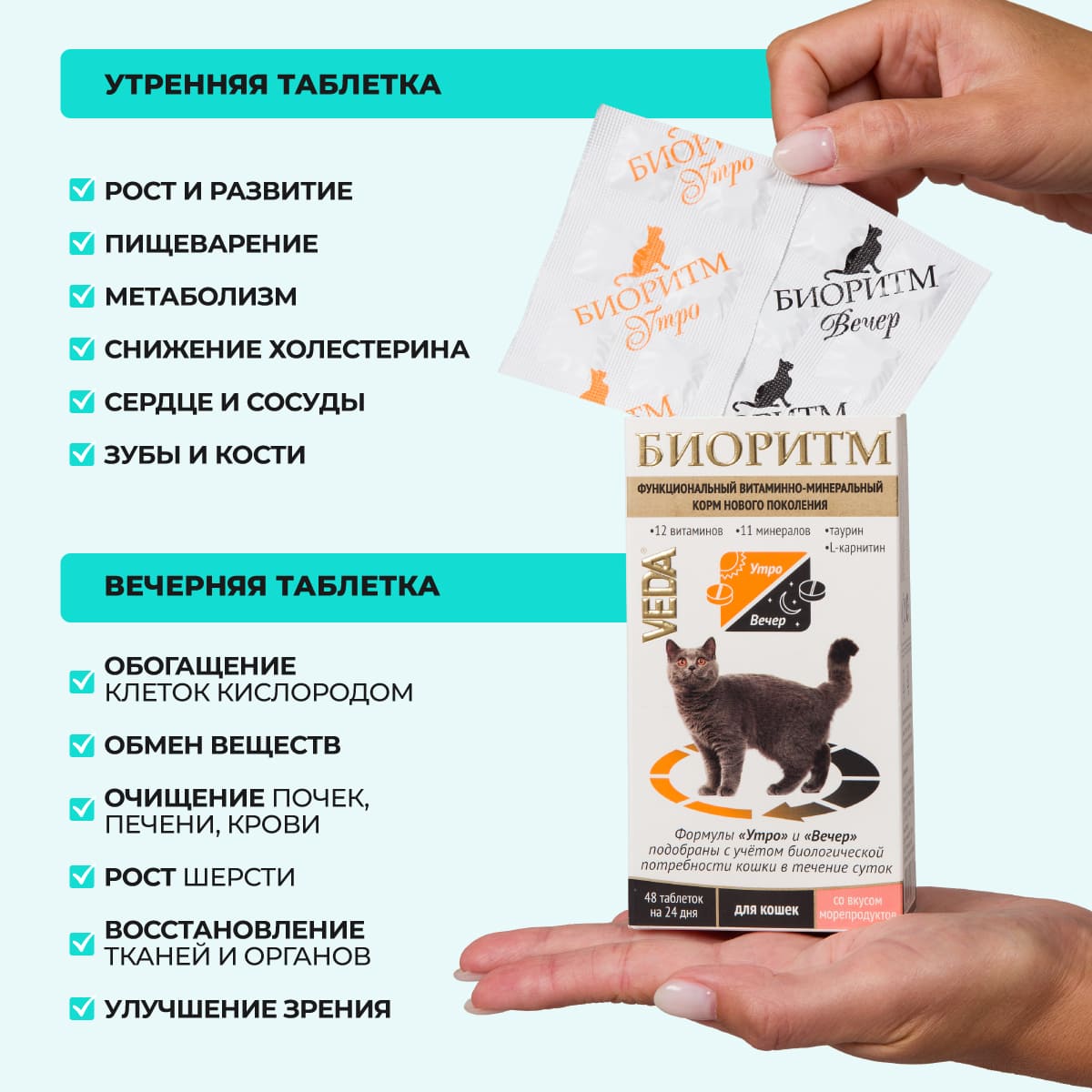 bioritm-dlya-koshek-moreprodukty-003