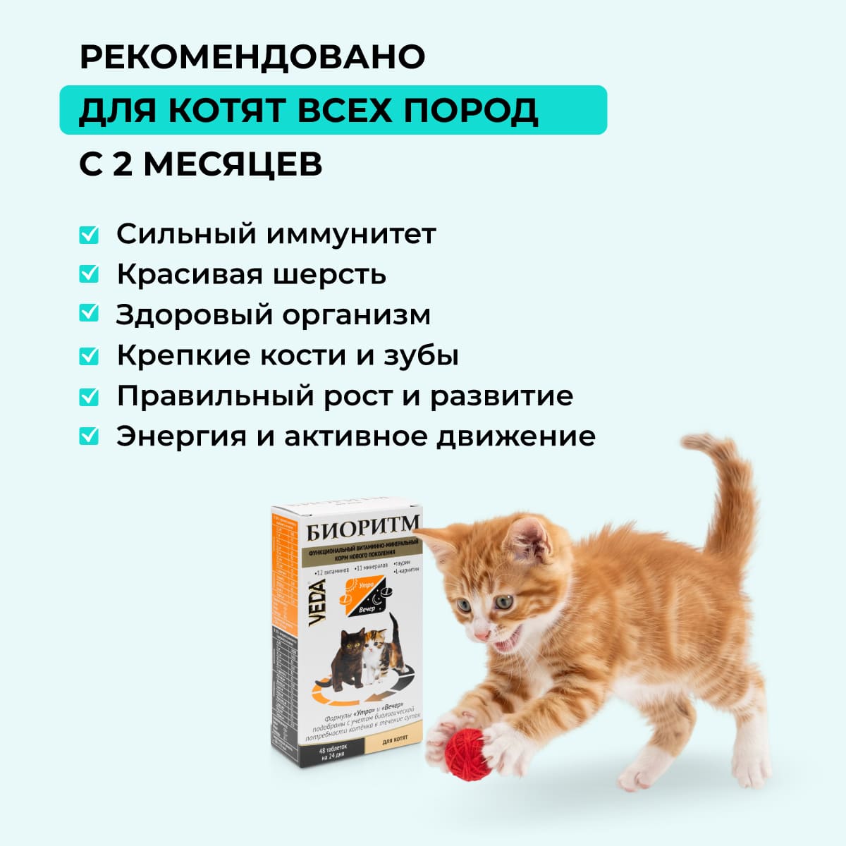bioritm-kotyat-01