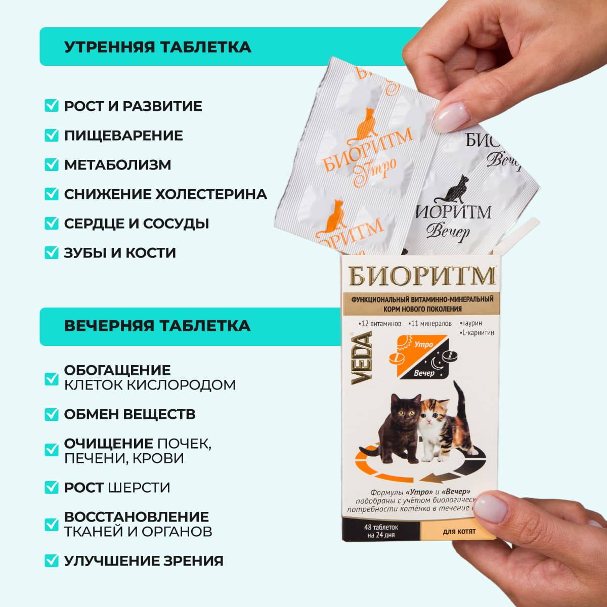 bioritm-kotyat-03