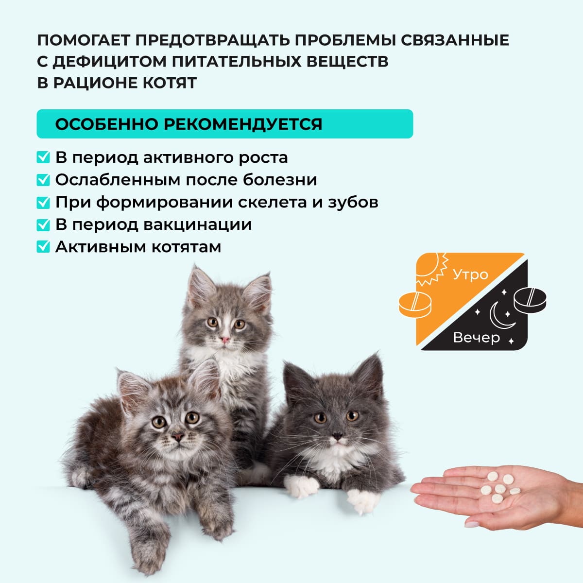 bioritm-kotyat-04