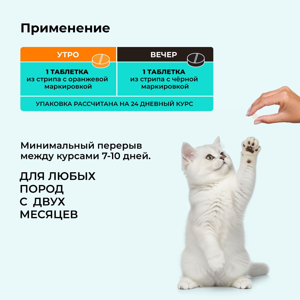 bioritm-kotyat-05