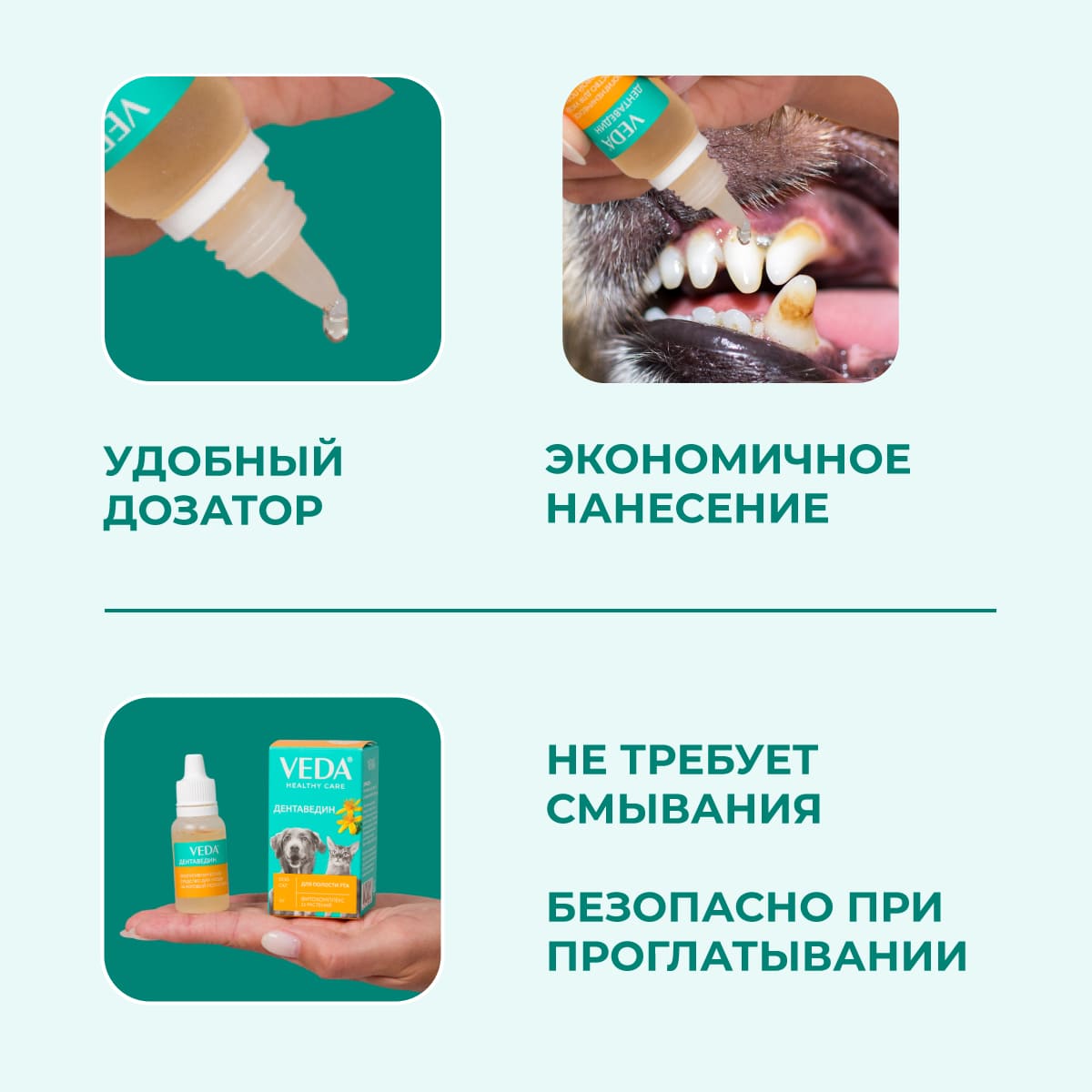 dentavedin-03