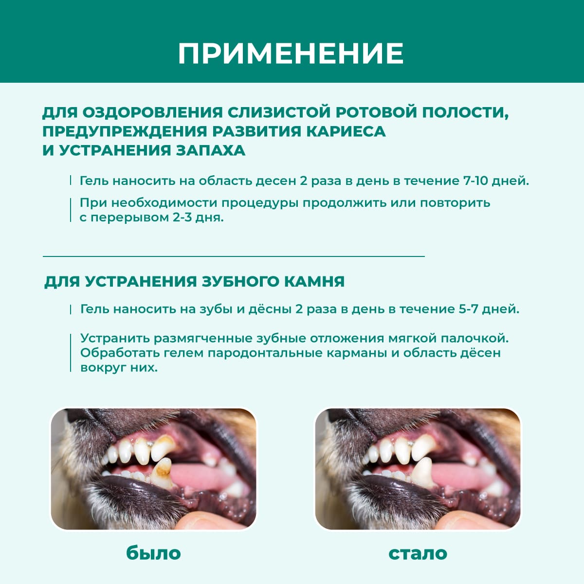 dentavedin-04