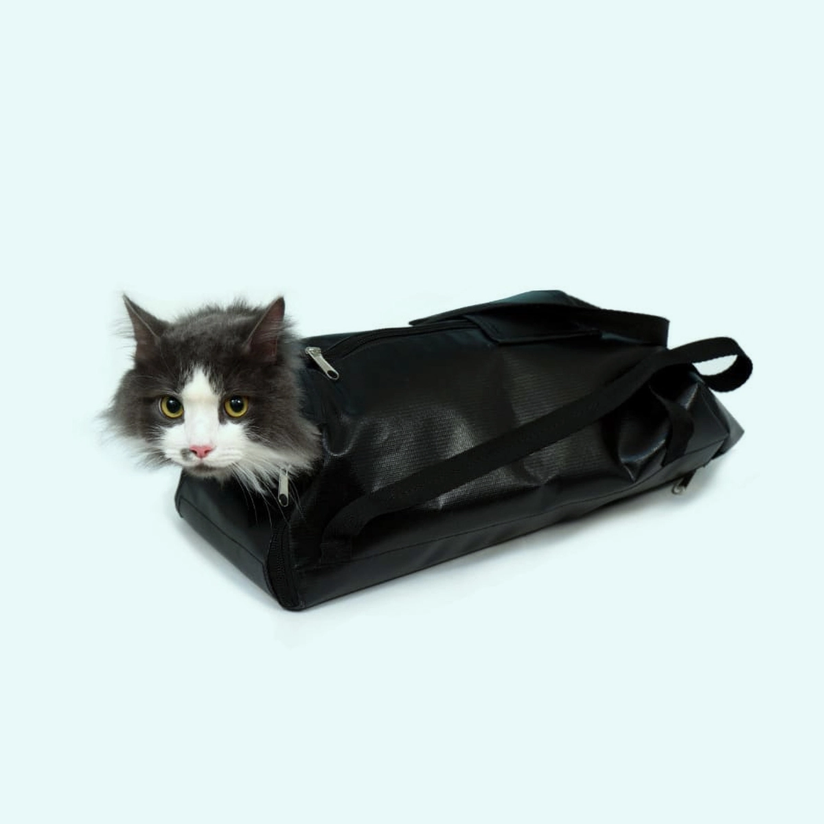 Эко-сумка Кошка CatMOM