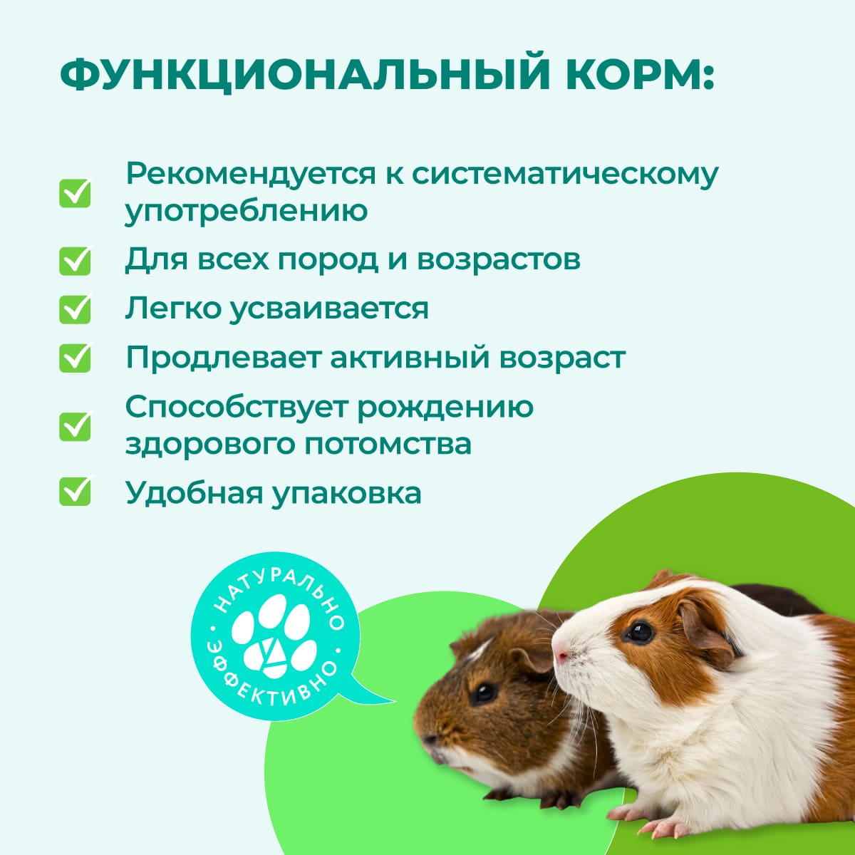 fitominy-dlya-gryzunov-02