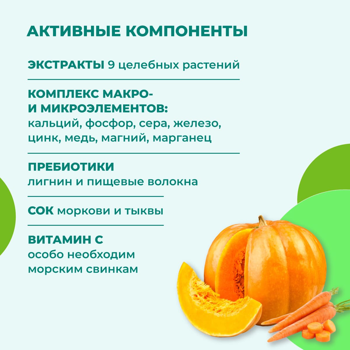 fitominy-dlya-gryzunov-03