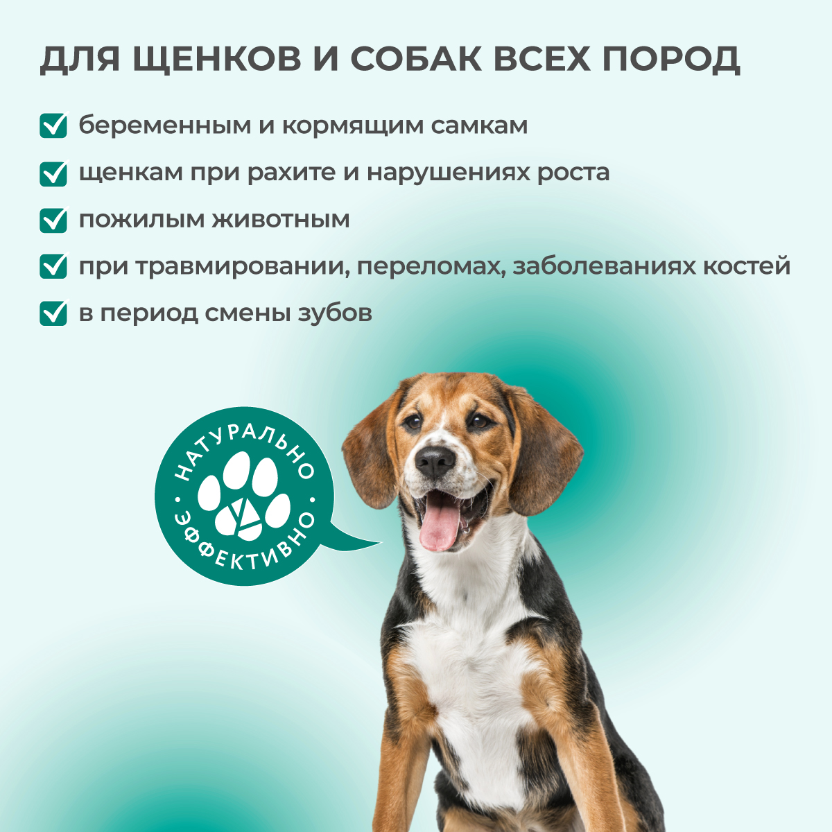 fitominy-dlya-zubov-kostej-sobakam-1