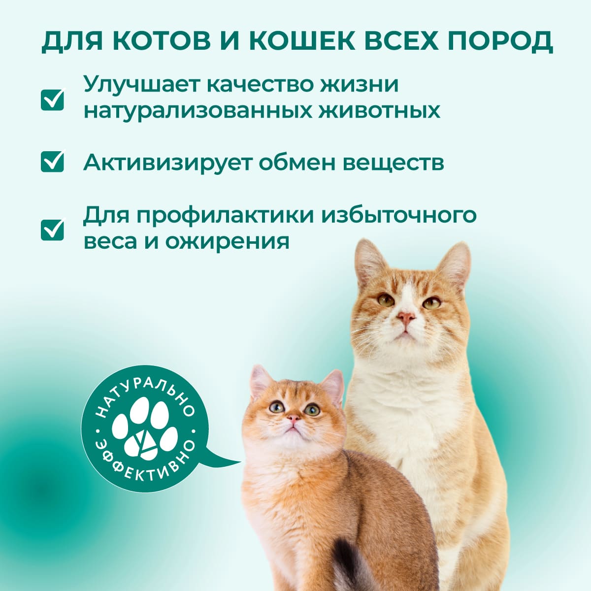 fitominy-forte-dlya-kastrirovannyh-kotov-sterilis-koshek-1