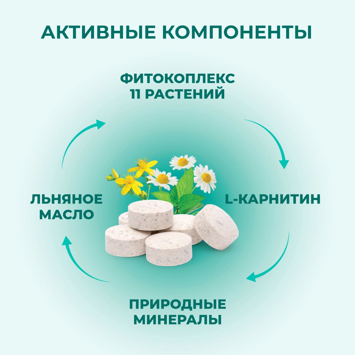 fitominy-forte-dlya-kastrirovannyh-kotov-sterilis-koshek-3