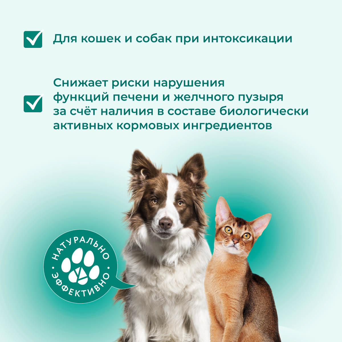 fitominy-forte-dlya-pecheni-1