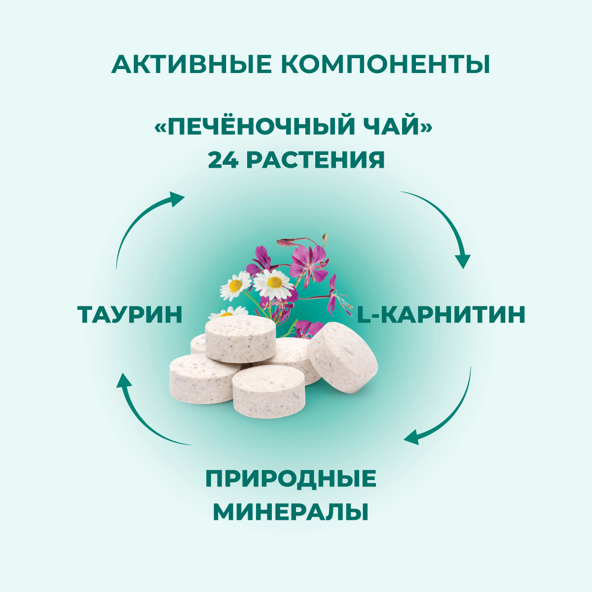 fitominy-forte-dlya-pecheni-3