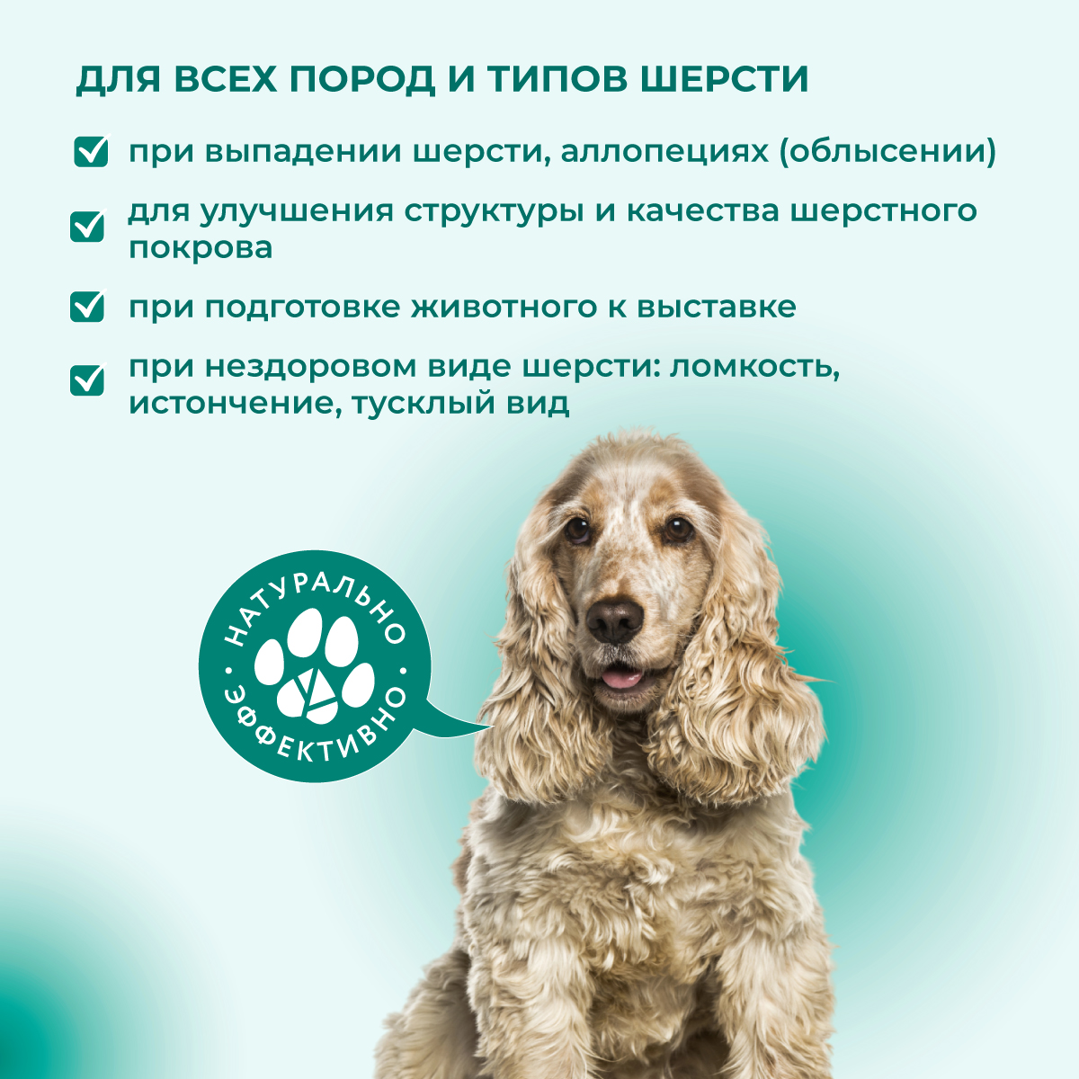 fitominy-forte-dlya-shersti-sobakam-1