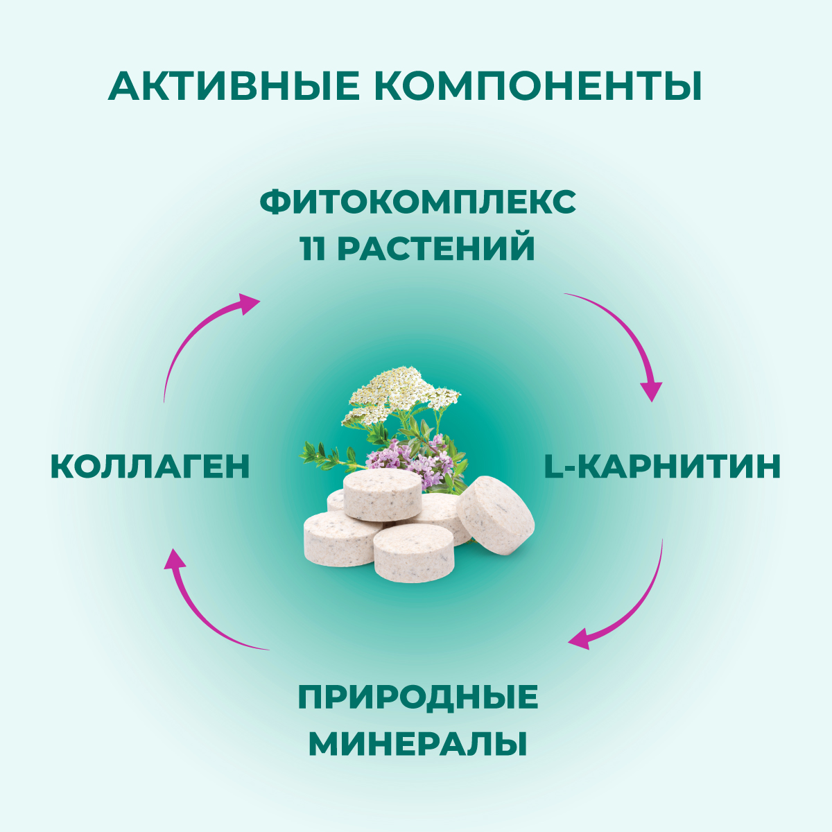 fitominy-forte-dlya-shersti-sobakam-3