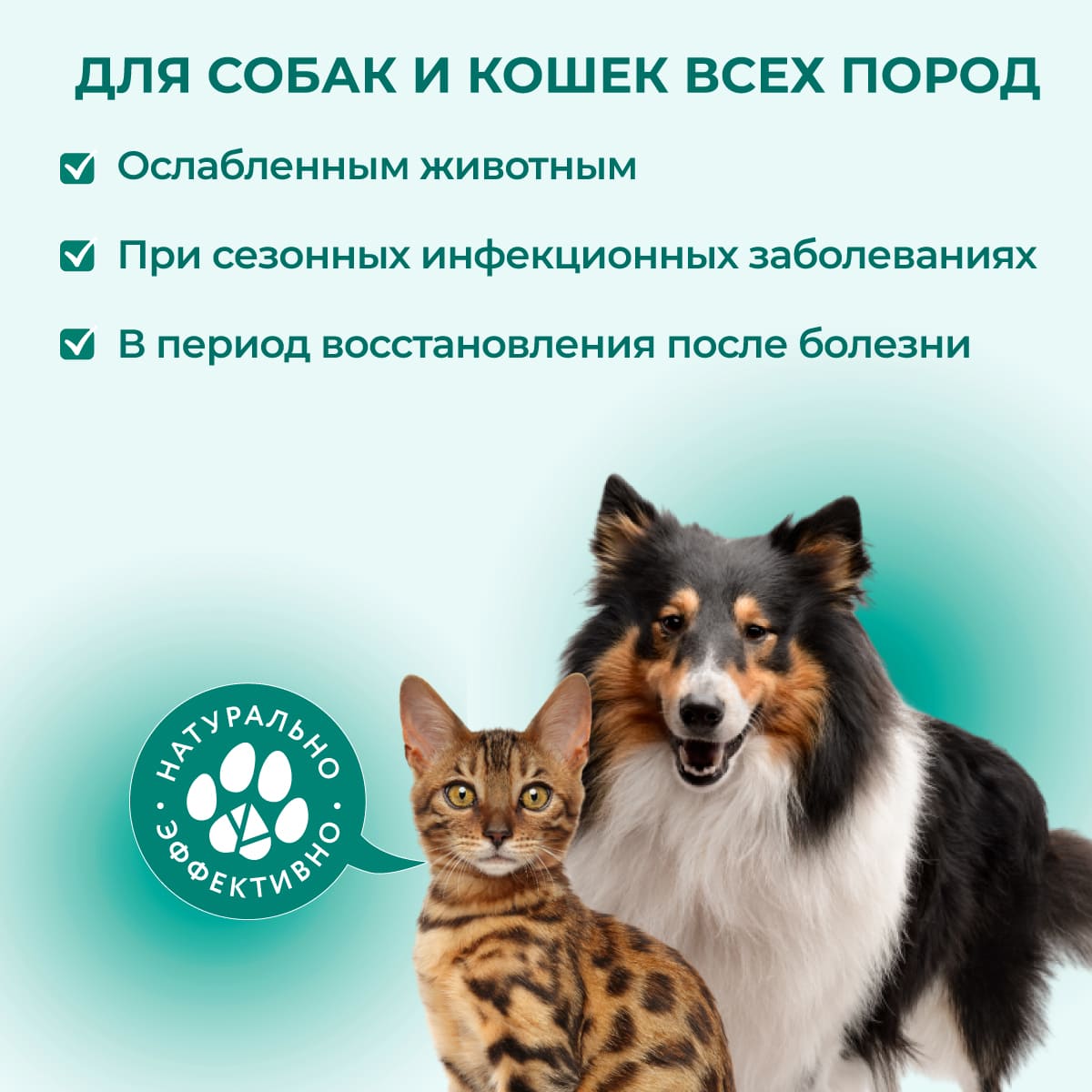 fitominy-forte-immunitet-koshkam-sobakam-1