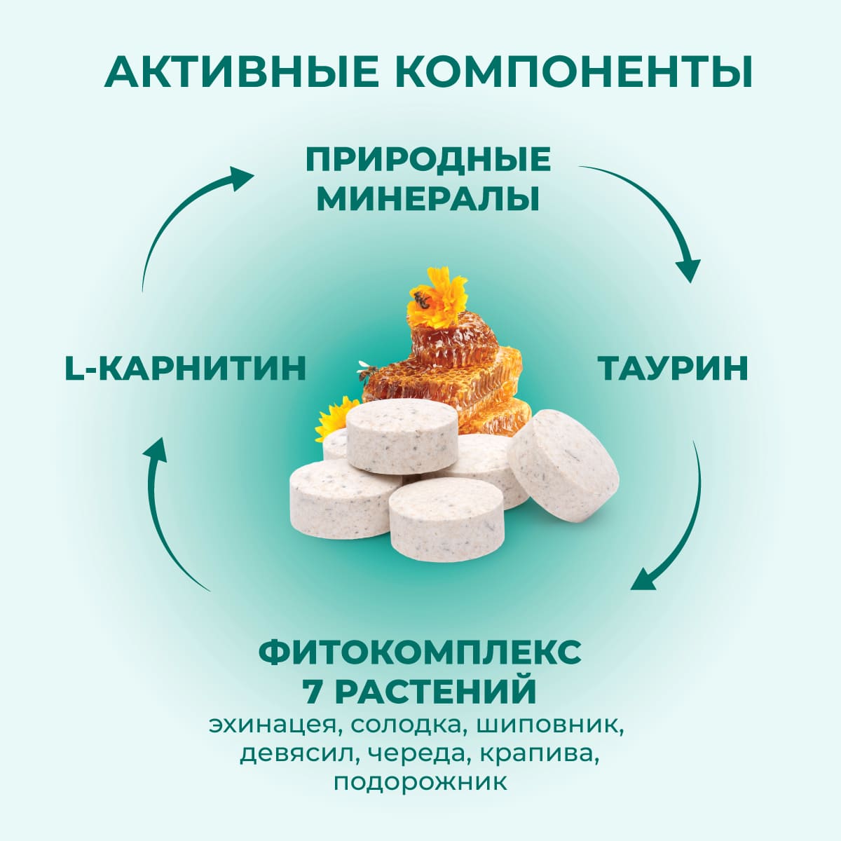 fitominy-forte-immunitet-koshkam-sobakam-3