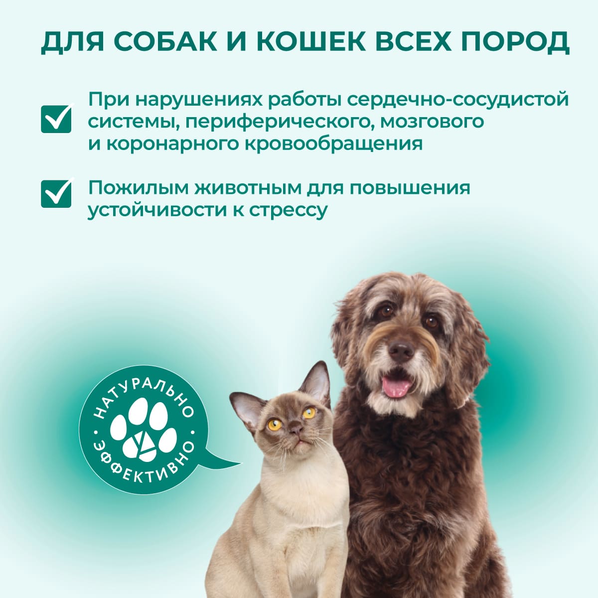 fitominy-forte-pozhilym-sobakam-koshkam-1