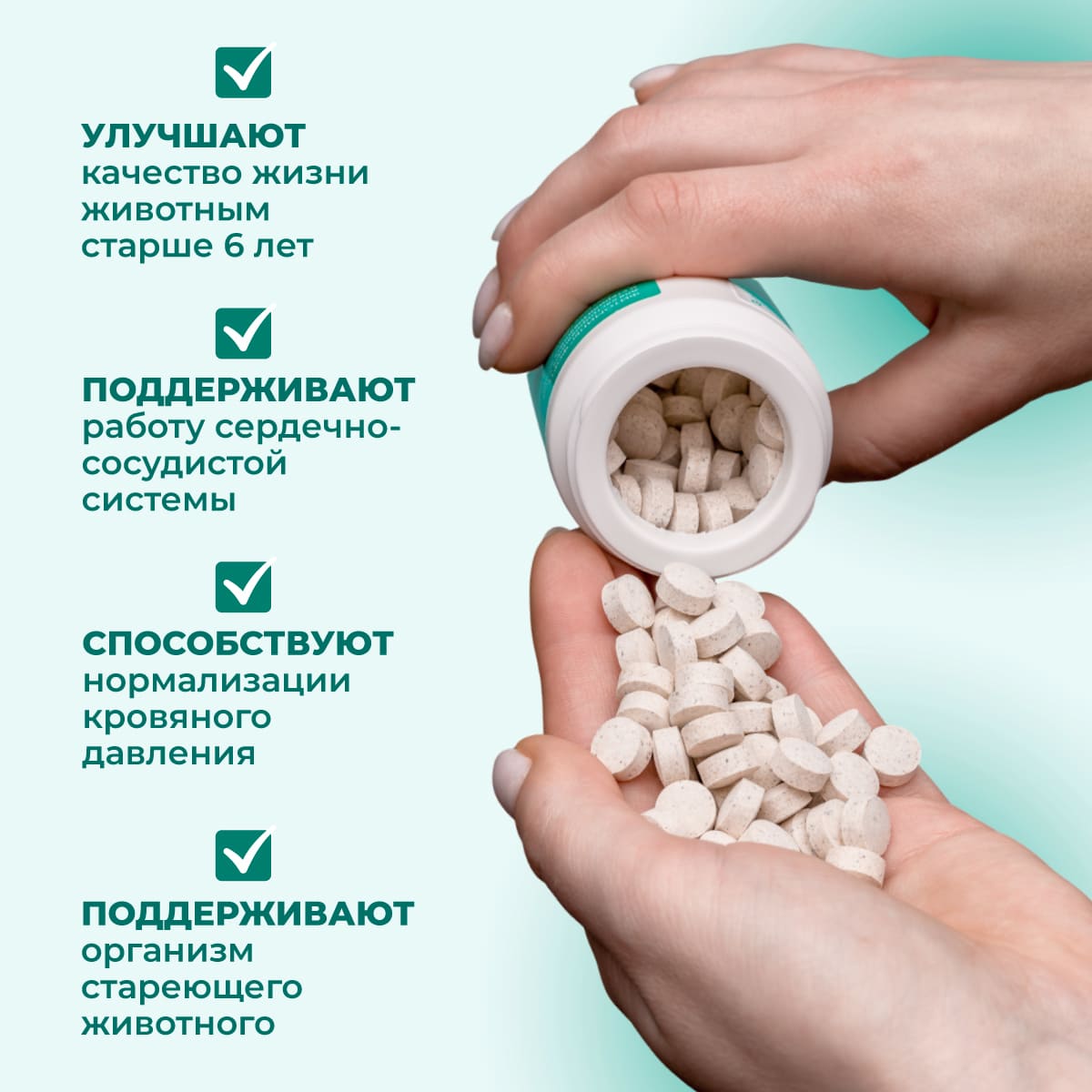 fitominy-forte-pozhilym-sobakam-koshkam-2