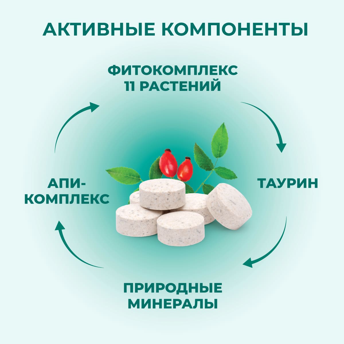 fitominy-forte-pozhilym-sobakam-koshkam-3